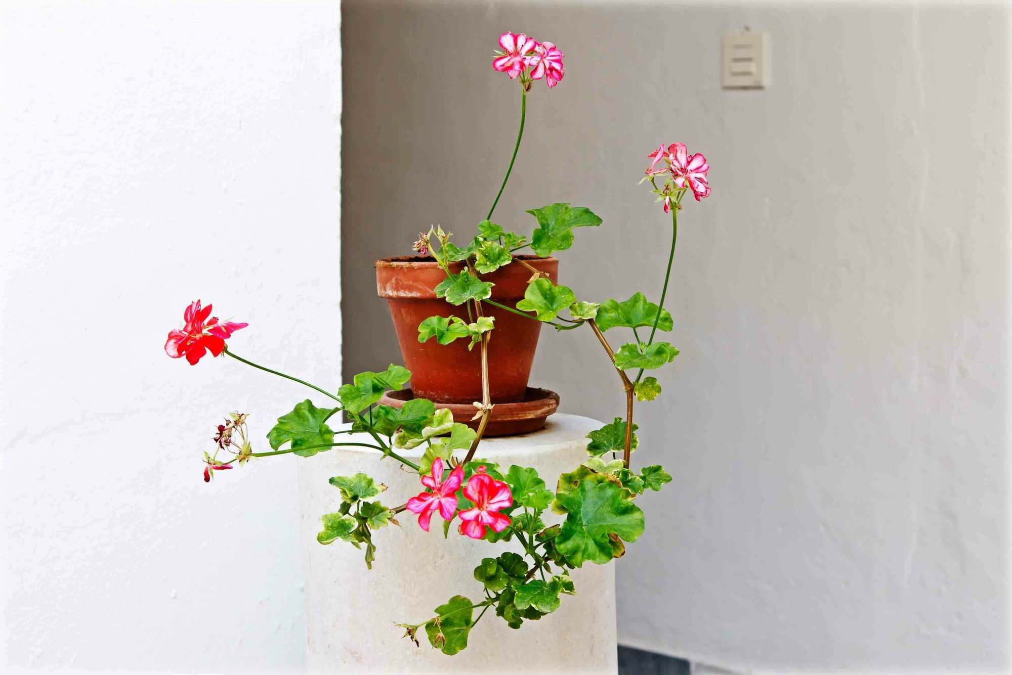 Selecta Apartments Los Venerables Sevilla Eksteriør bilde